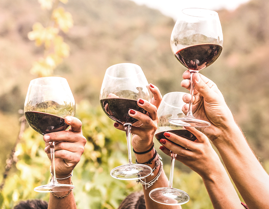 brindis